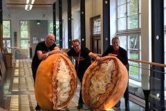 Nachtbrötchen - Rheinterrasse